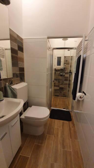 Violet Apartment With Air Condition Βουδαπέστη Εξωτερικό φωτογραφία